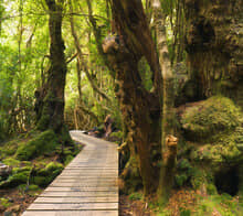 The Truth About the Lyme Disease Epidemic The Truth About the Lyme Disease Epidemic